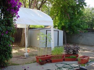 テントと物置小屋